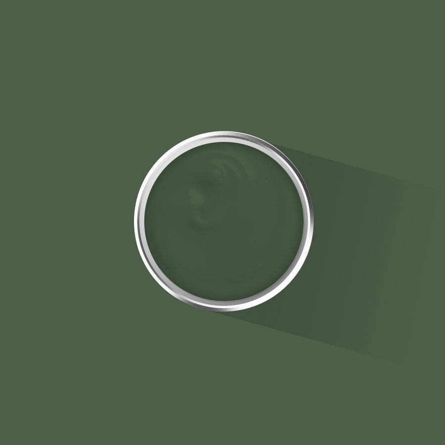 Placepaints Amazon Canopy – deep jungle green matt emulsion paint inspired by the Amazon