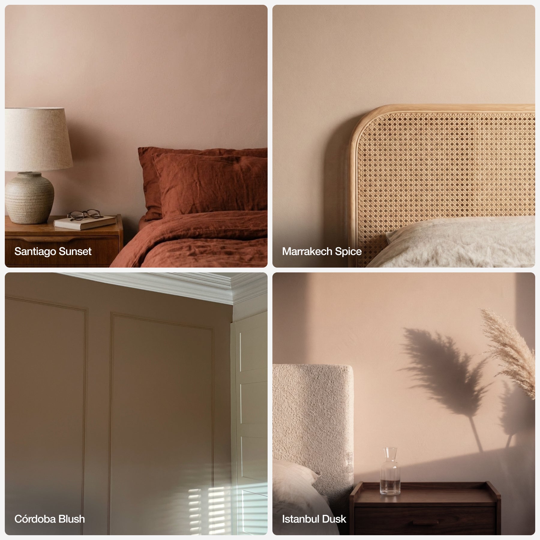 The Plaster Pinks - Sample Bundle