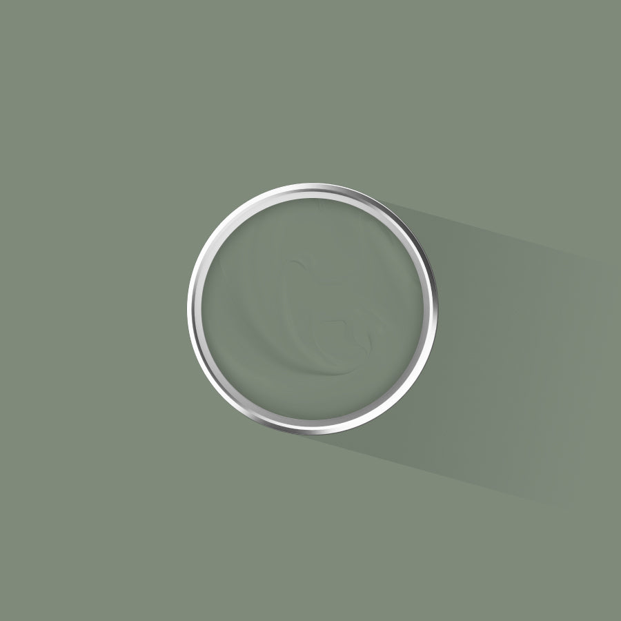 Placepaints Galway Glade – fresh mid-green matt emulsion paint inspired by County Galway