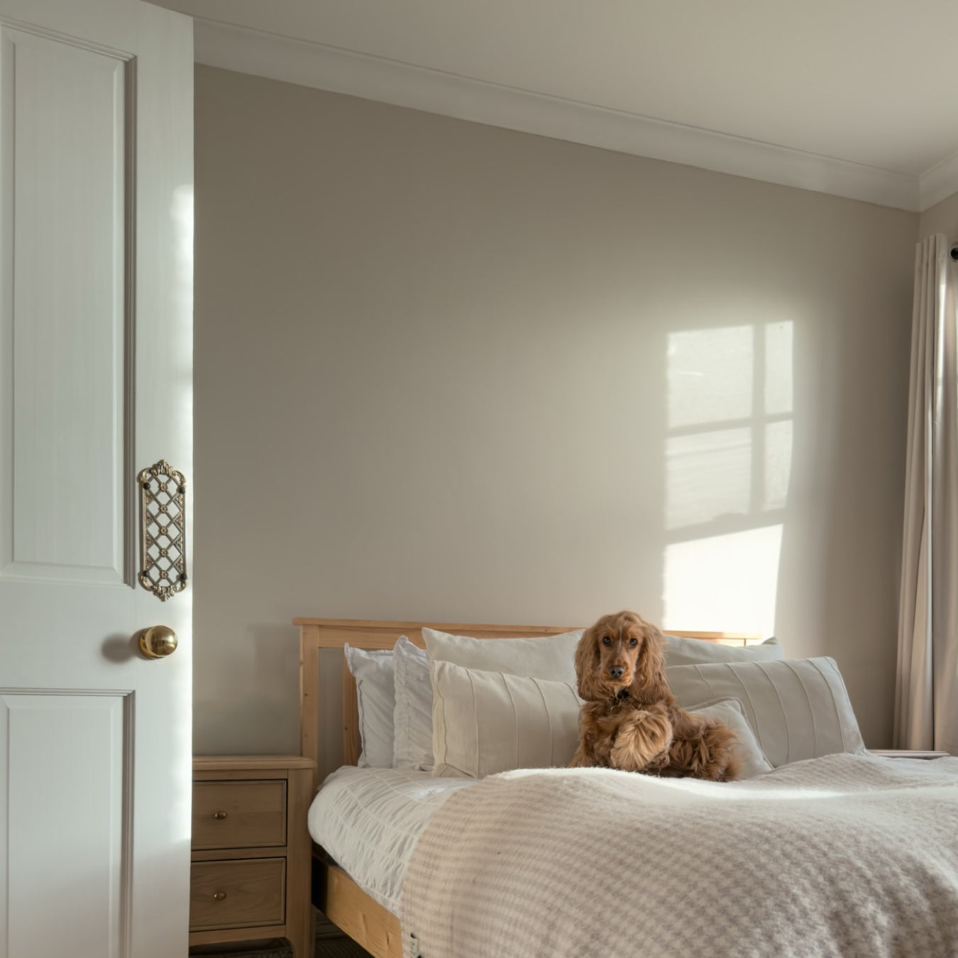 Lisbon Taupe