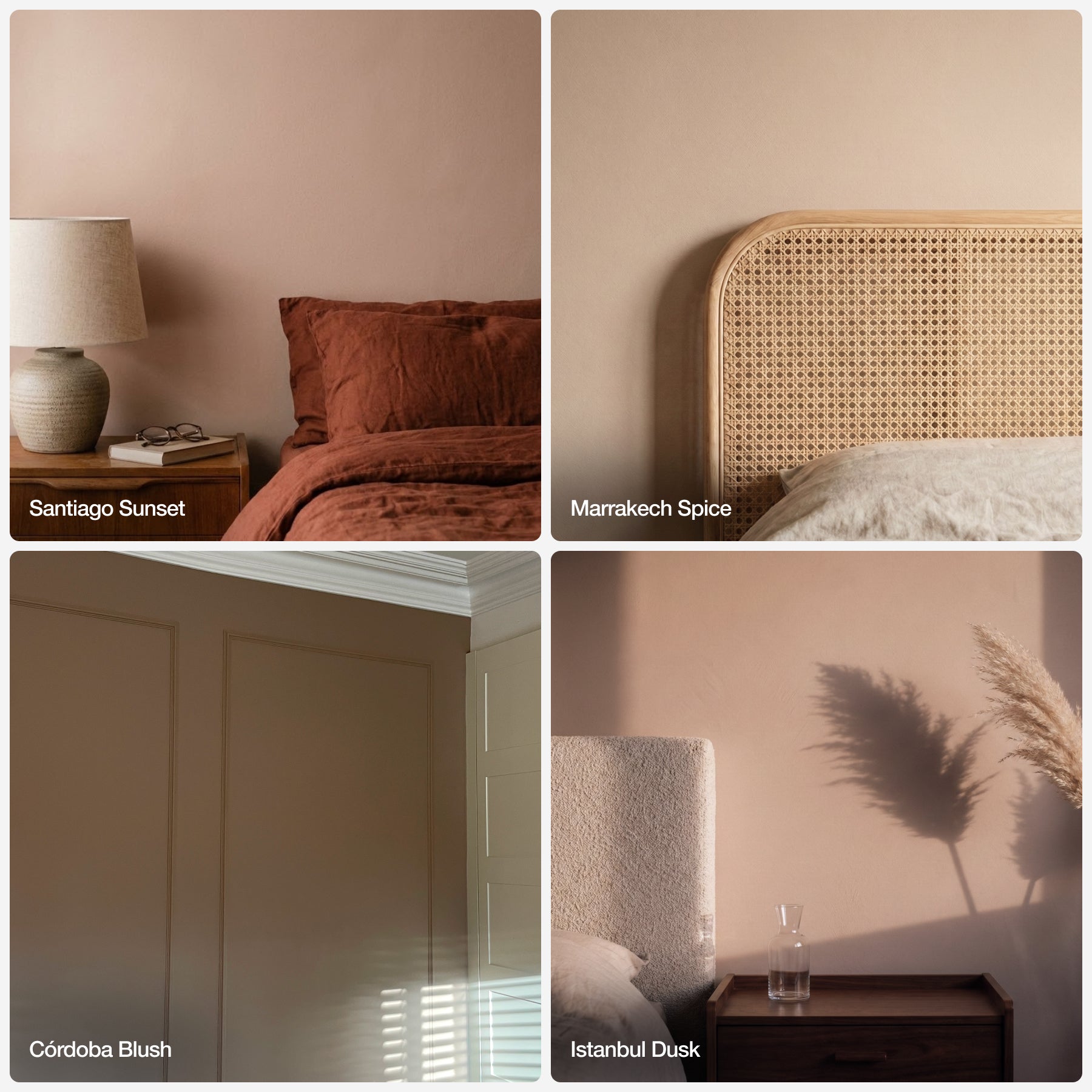The Plaster Pinks - Sample Bundle
