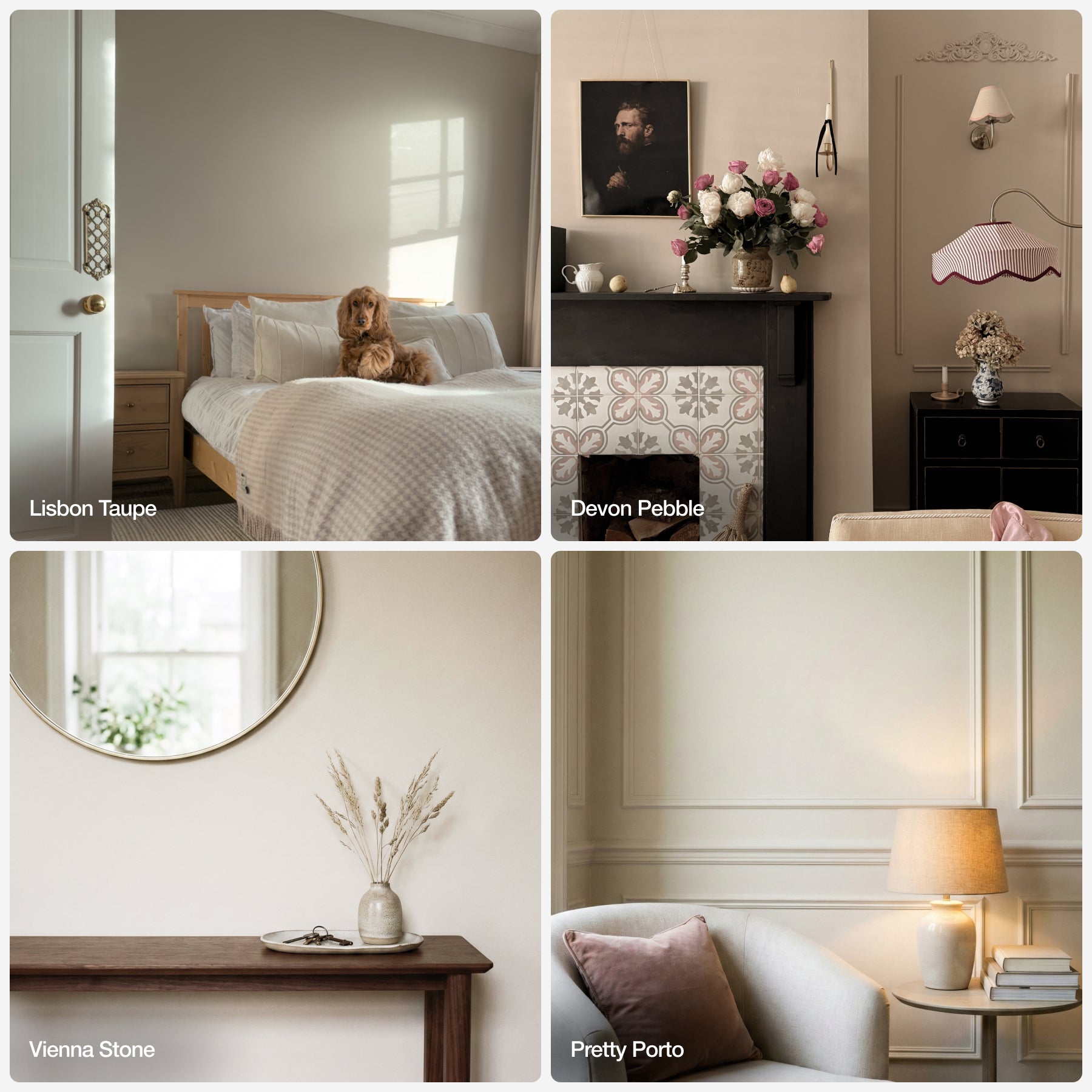 The Perfect Neutrals - Sample Bundle